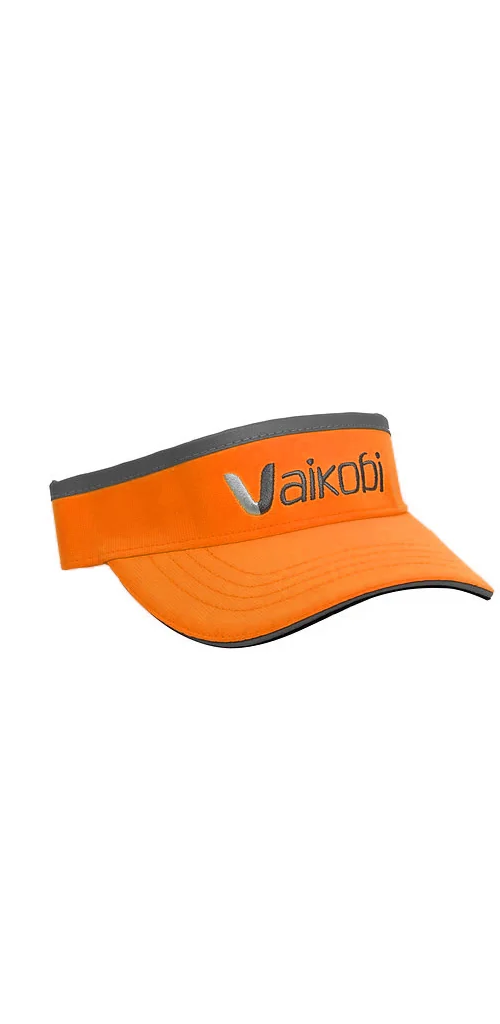Vaikobi visor