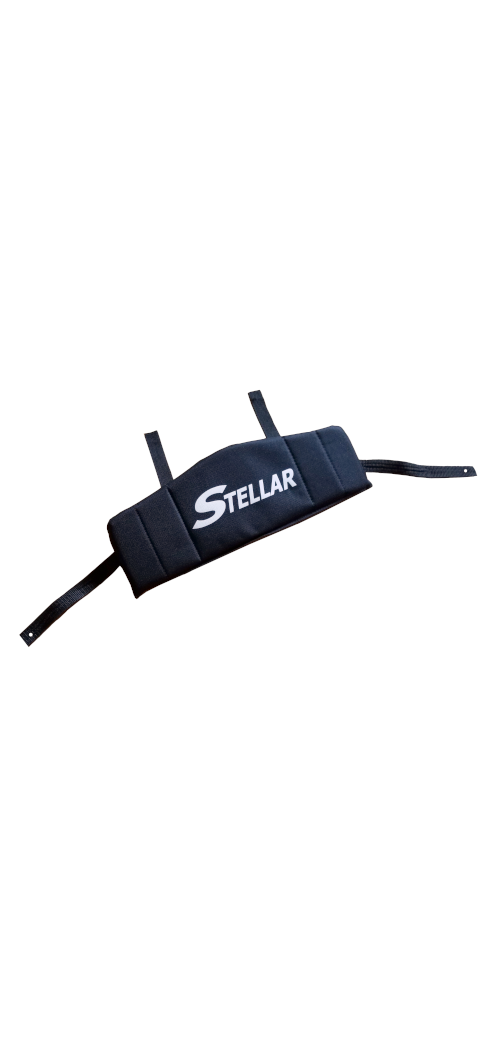 Stellar back brace