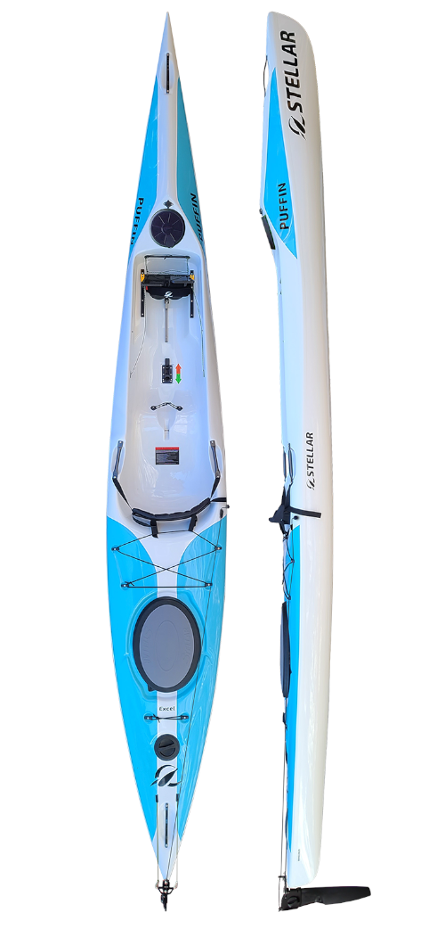 Stellar puffin surfski
